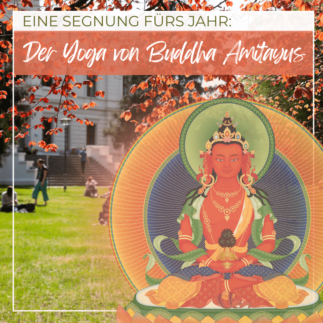 Eine Segnung fürs Jahr: Der Yoga von Buddha Amitayus