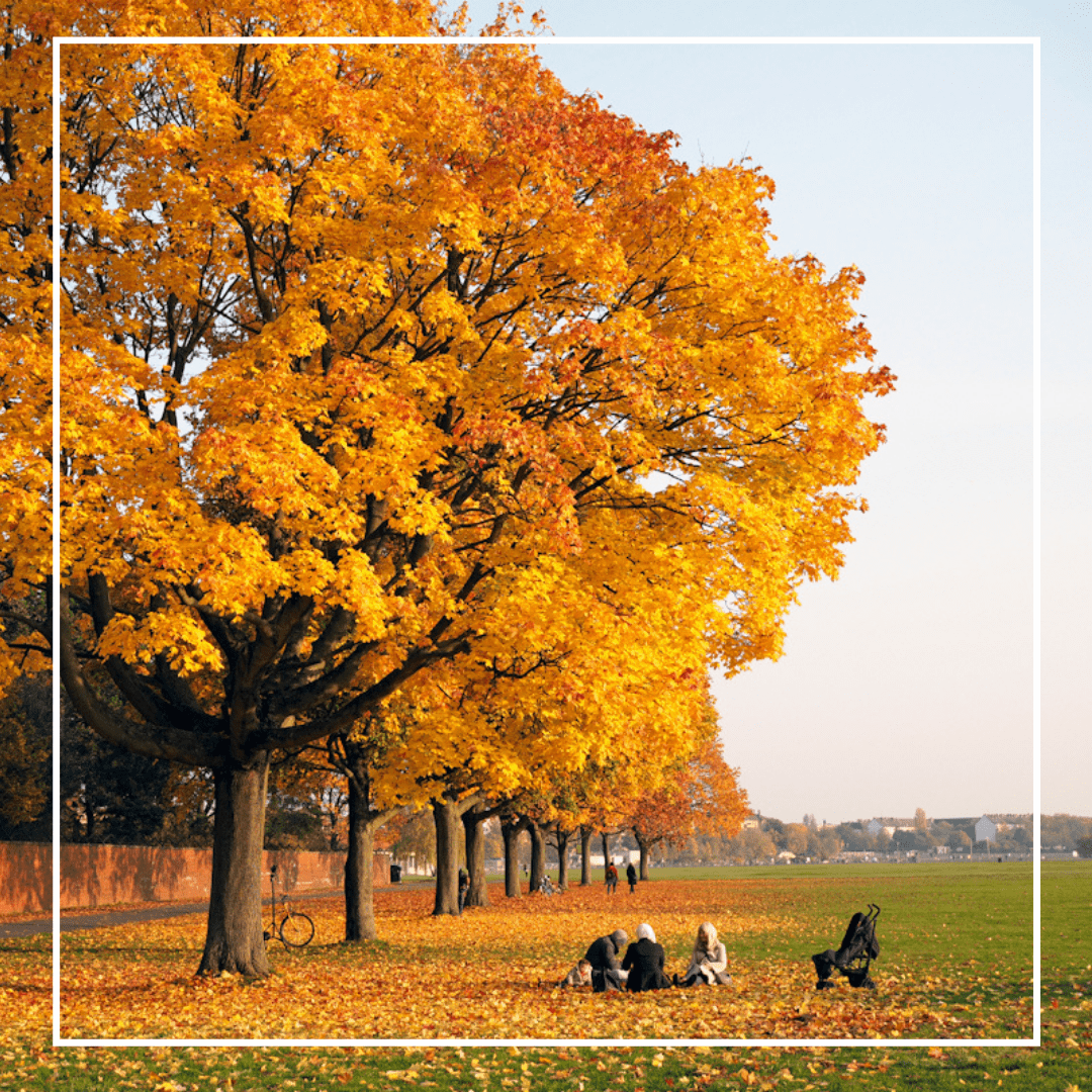 Spirituelle Übungen . . . um mit Freude und Leichtigkeit durch den Tag zu gehen